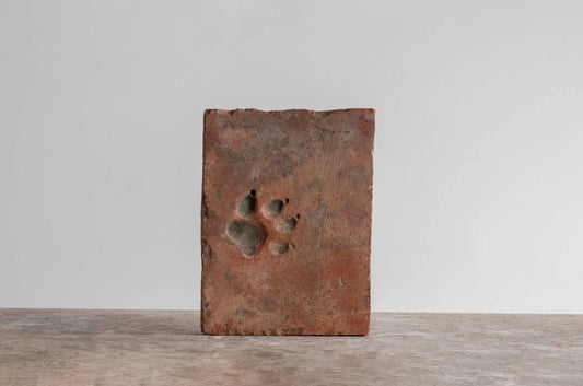 HUELLA DE TERRACOTA